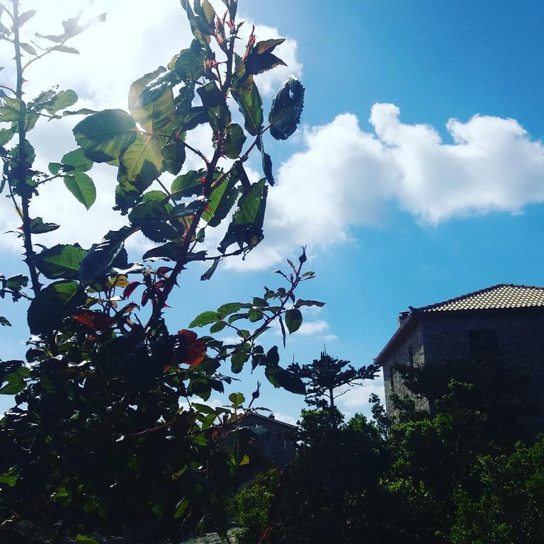 Andreas Katsaros Villas Volímai Esterno foto